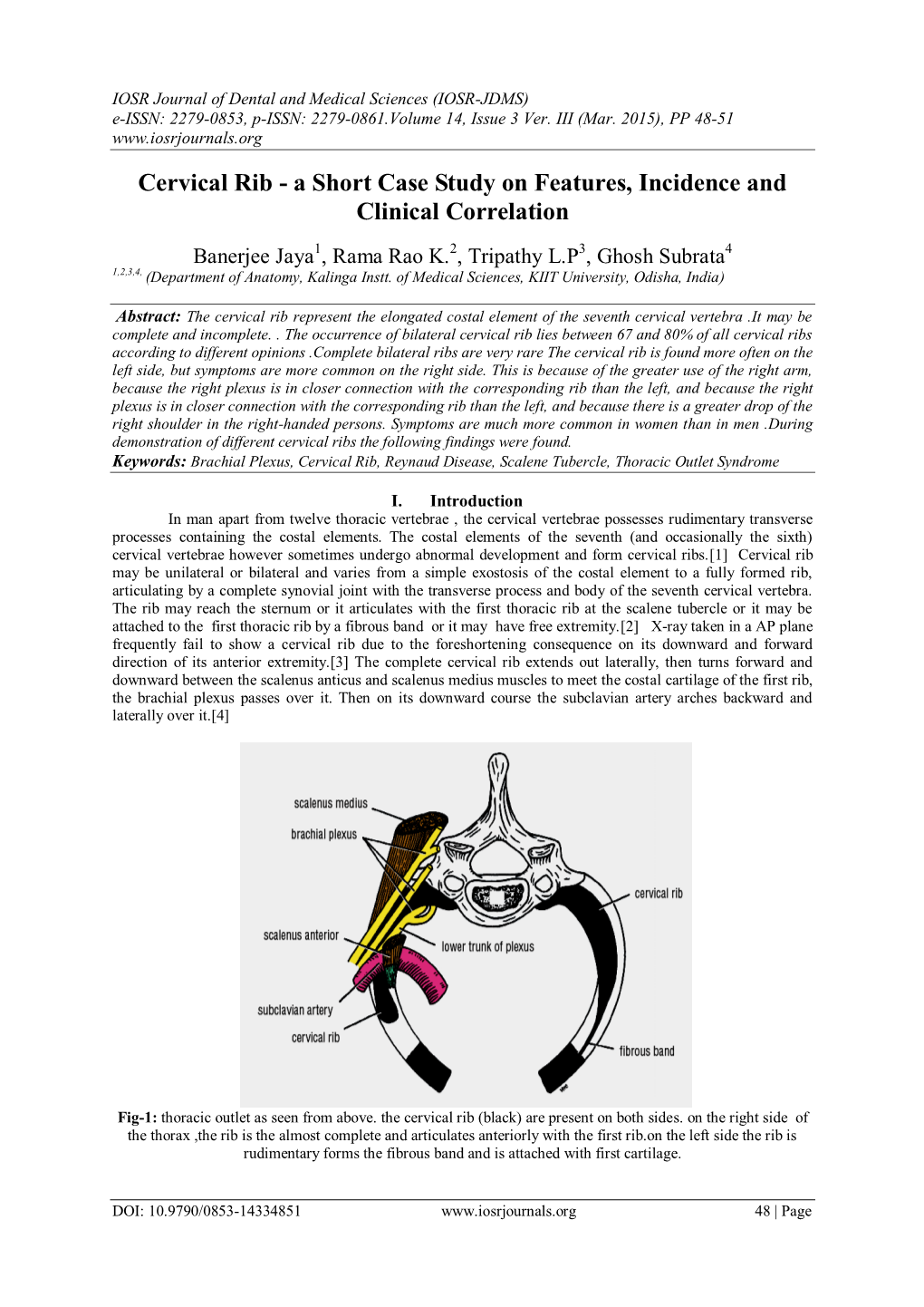 Cervical Rib - a Short Case Study on Features, Incidence and Clinical Correlation