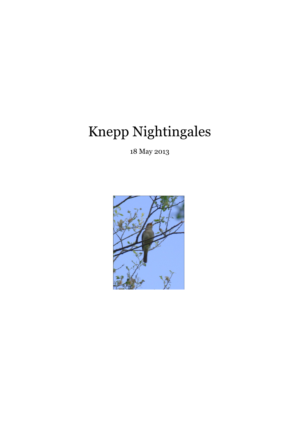 Knepp Nightingales