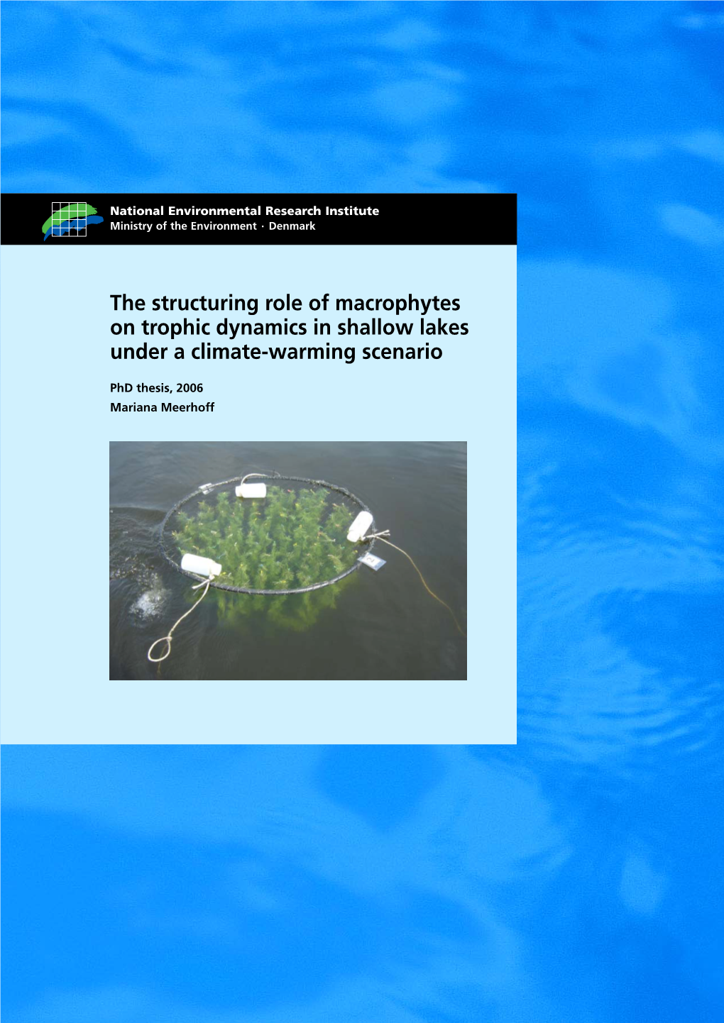 The Structuring Role of Macrophytes on Trophic Dynamics in Shallow Lakes Under a Climate-Warming Scenario