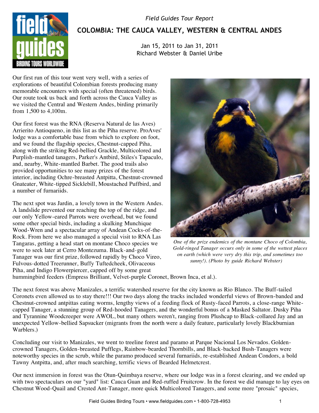 Field Guides Birding Tours: Colombia: the Cauca Valley