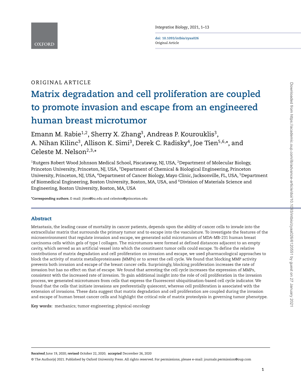 Matrix Degradation and Cell Proliferation Are Coupled to Promote Invasion and Escape from an Engineered Human Breast Microtumor Emann M