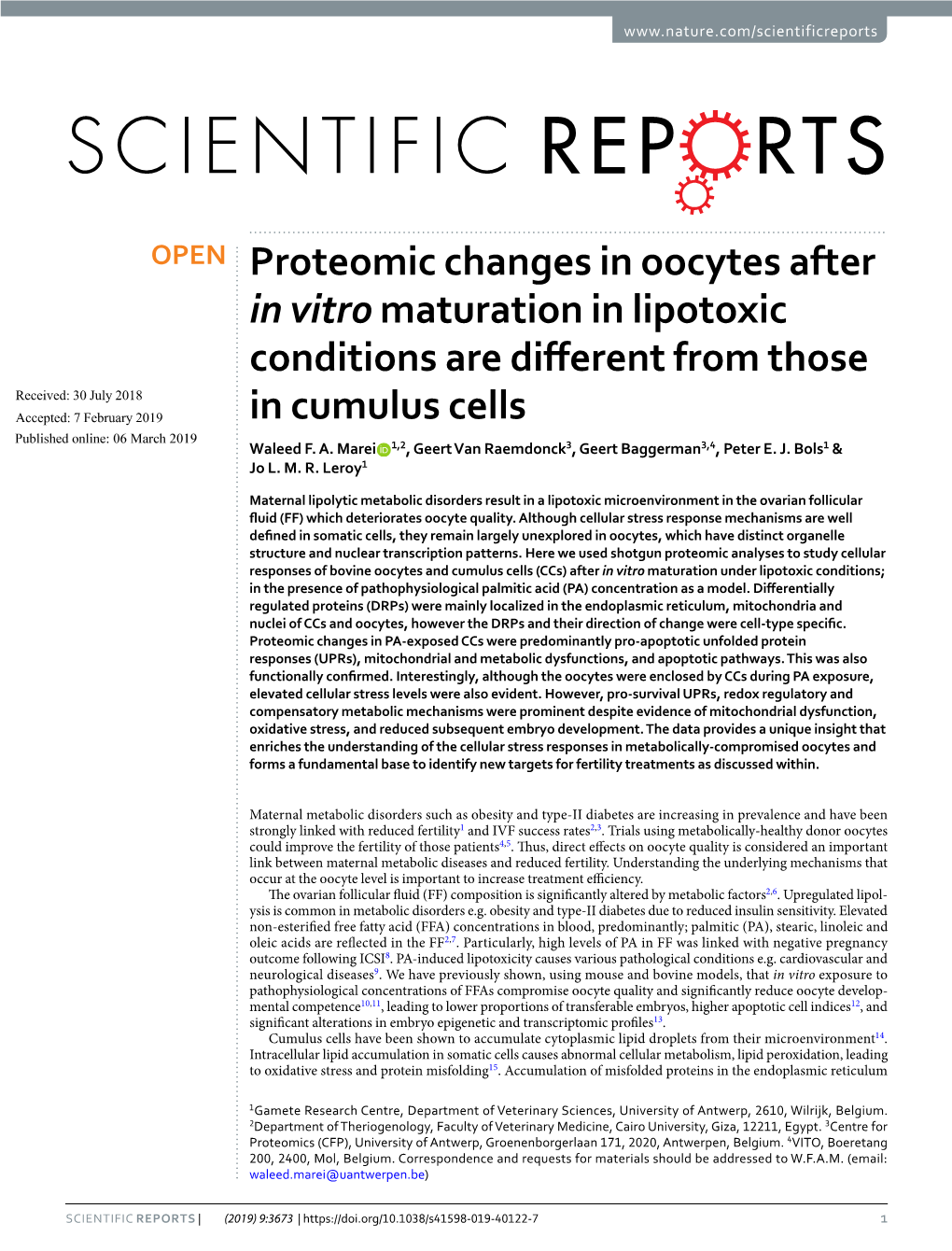 Proteomic Changes in Oocytes After in Vitro Maturation in Lipotoxic