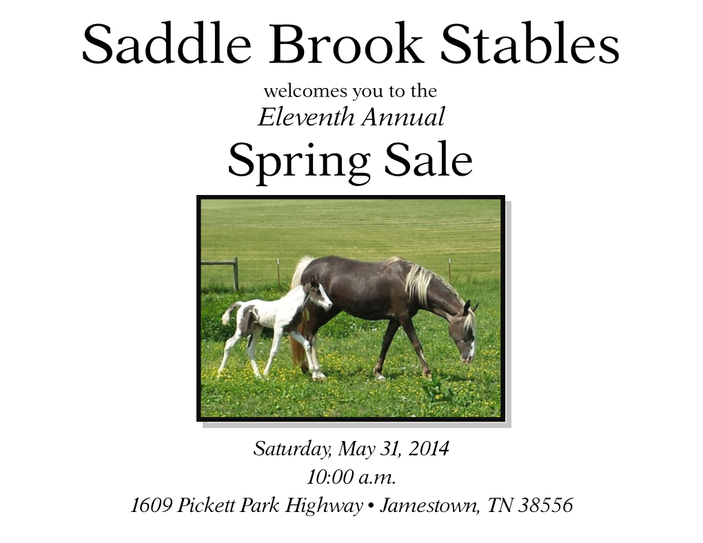 Saddle Brook Stables Welcomes You to the Eleventh Annual