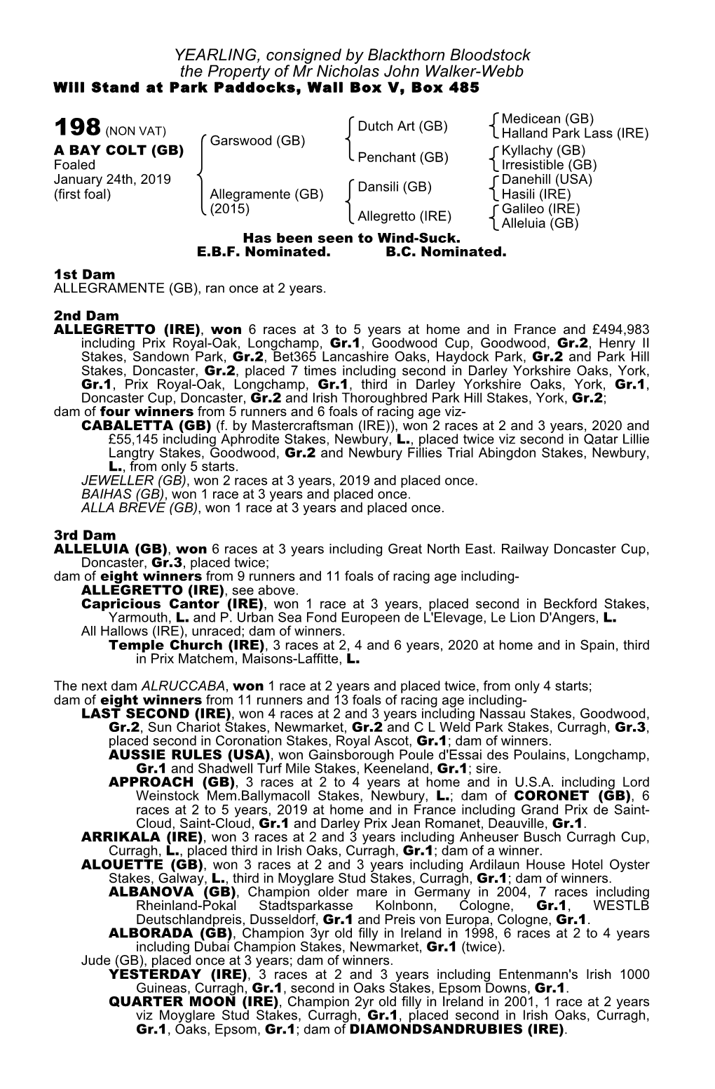 YEARLING, Consigned by Blackthorn Bloodstock the Property of Mr Nicholas John Walker-Webb Will Stand at Park Paddocks, Wall Box V, Box 485
