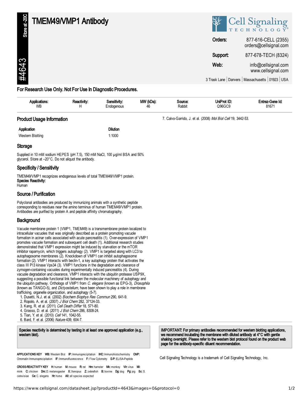 TMEM49/VMP1 Antibody A