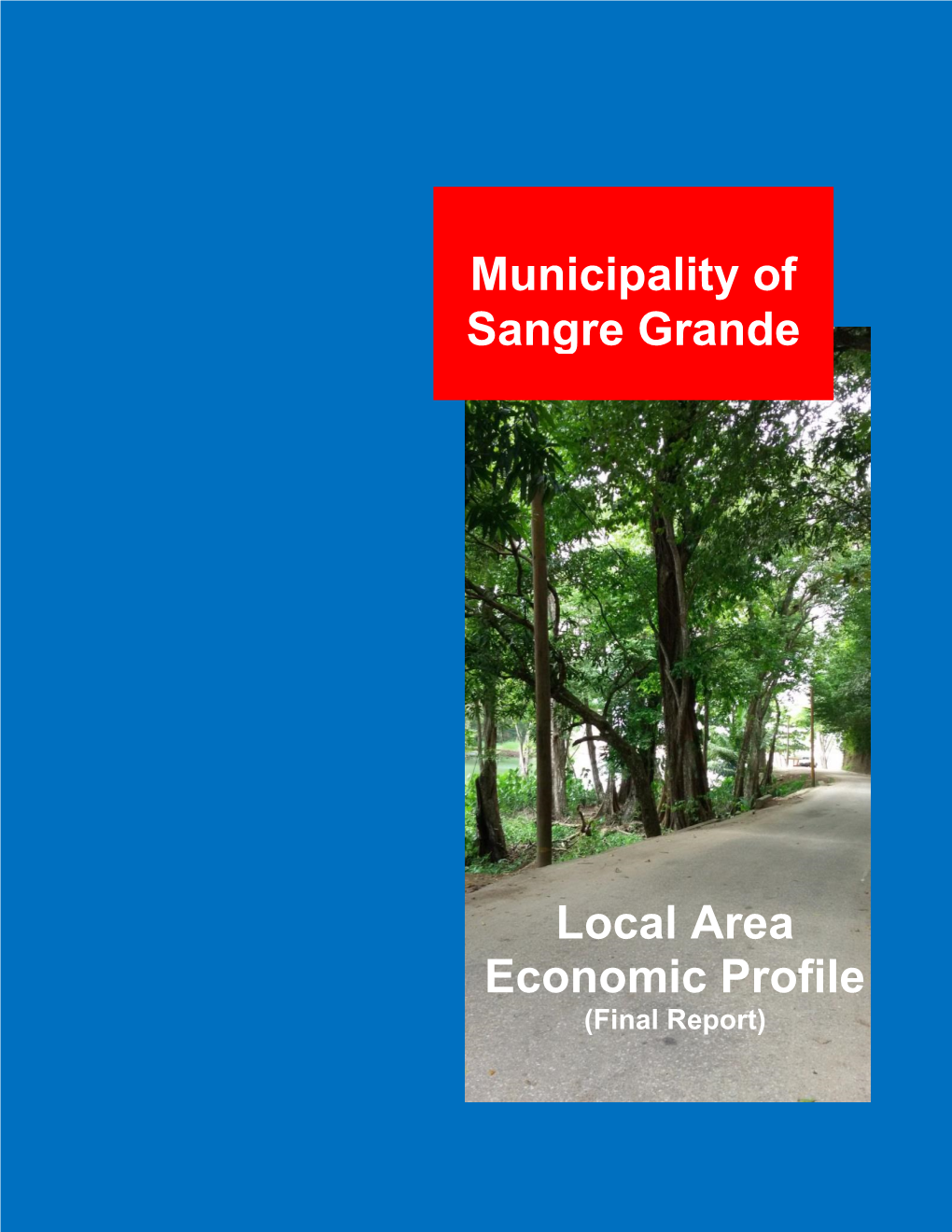 Municipality of Sangre Grande Local Area Economic Profile (Final Report)