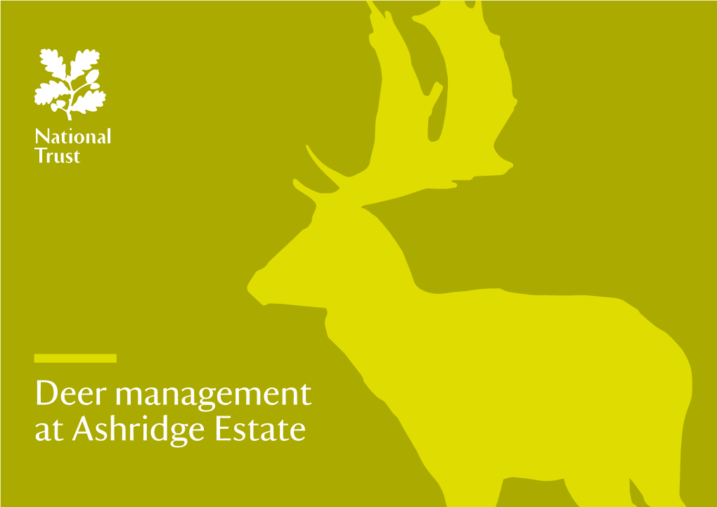 Deer Management at Ashridge Estate 2