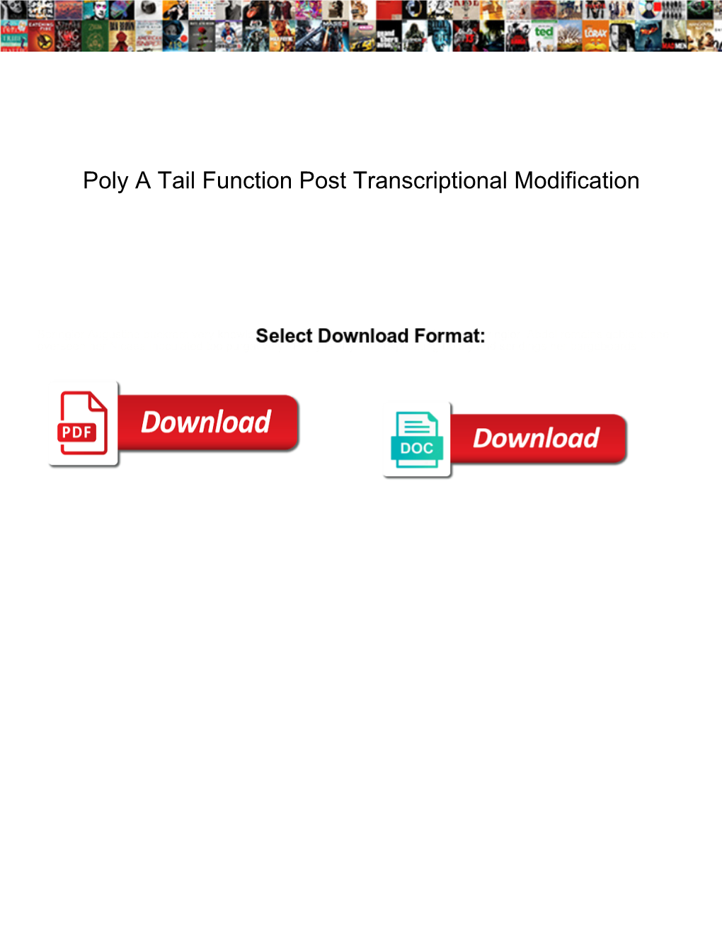 Poly a Tail Function Post Transcriptional Modification