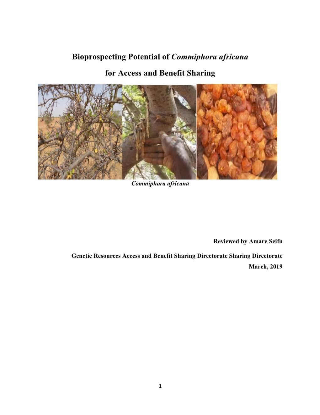 Bioprospecting Potential of Commiphora Africana for Access and Benefit Sharing