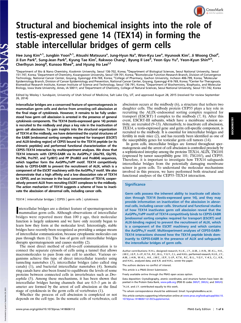 TEX14) in Forming the Stable Intercellular Bridges of Germ Cells