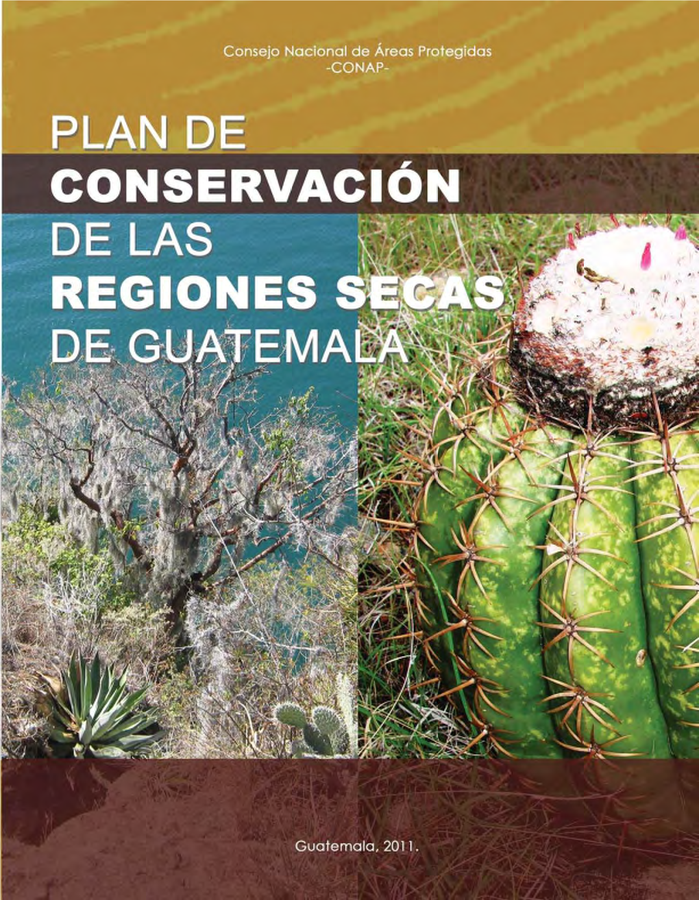 Plan De Conservacion Regiones Secas Guatemala.Pdf