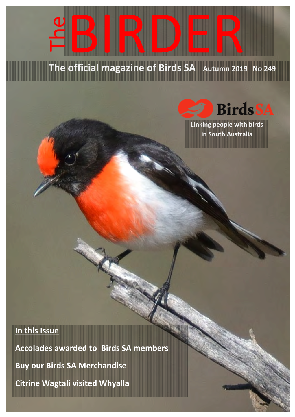 The Official Magazine of Birds SA Autumn 2019 No 249