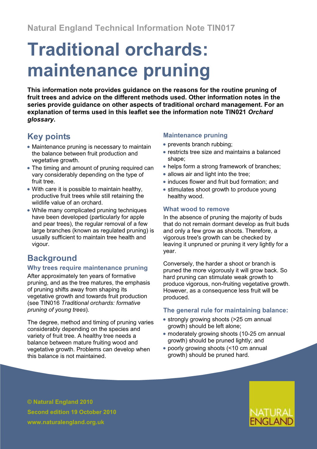 Maintenance Pruning