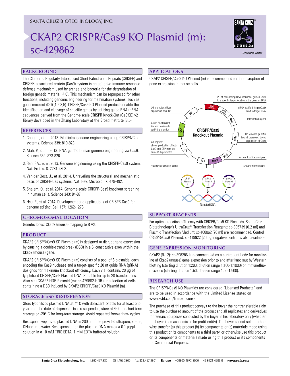 CKAP2 CRISPR/Cas9 KO Plasmid (M): Sc-429862