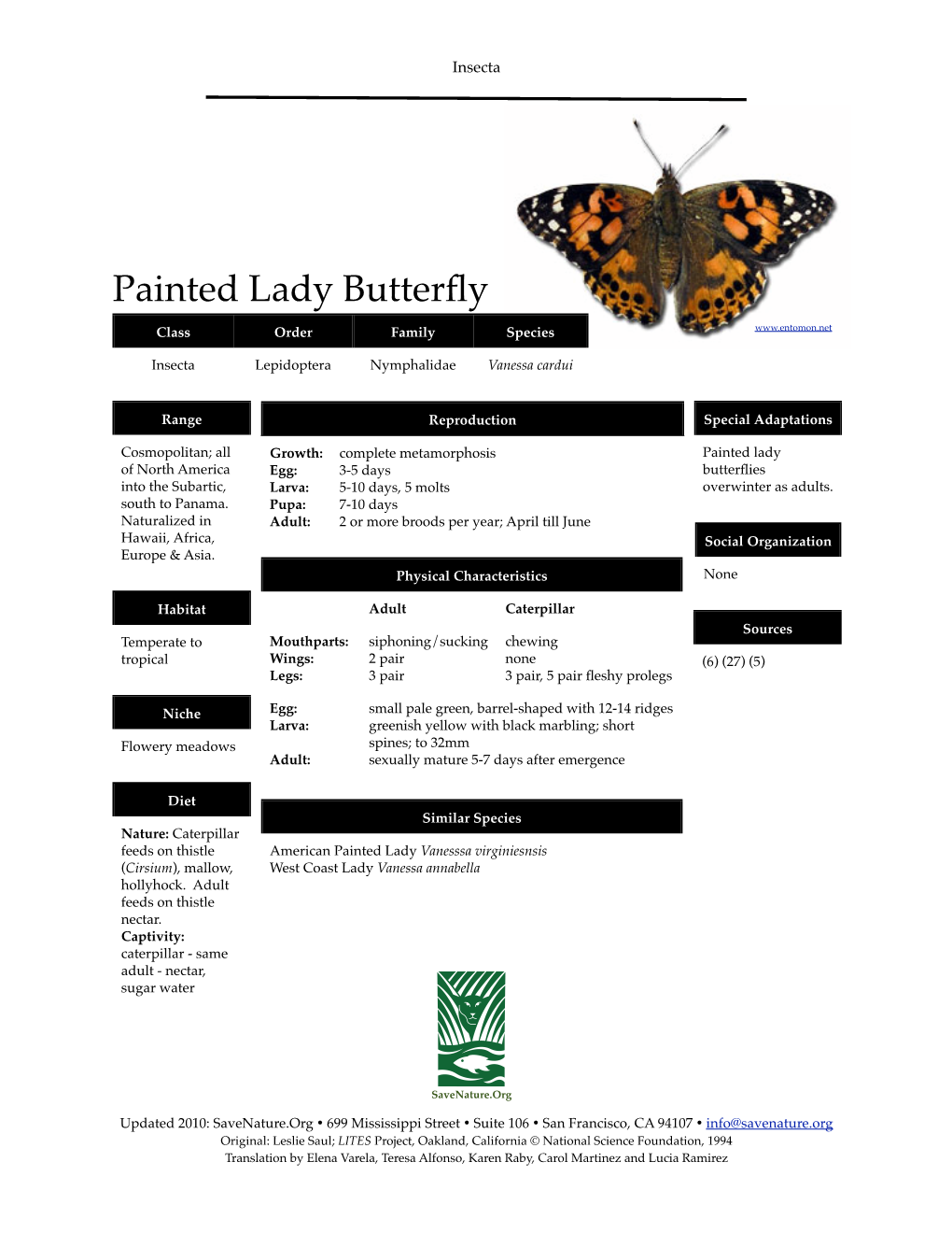 Painted Lady Butterfly Info Sheet