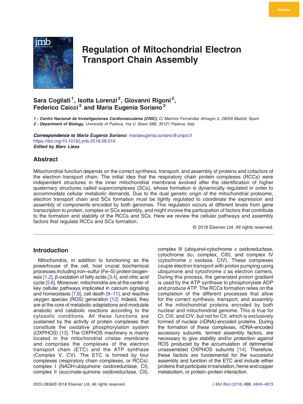 Regulation of Mitochondrial Electron Transport Chain Assembly