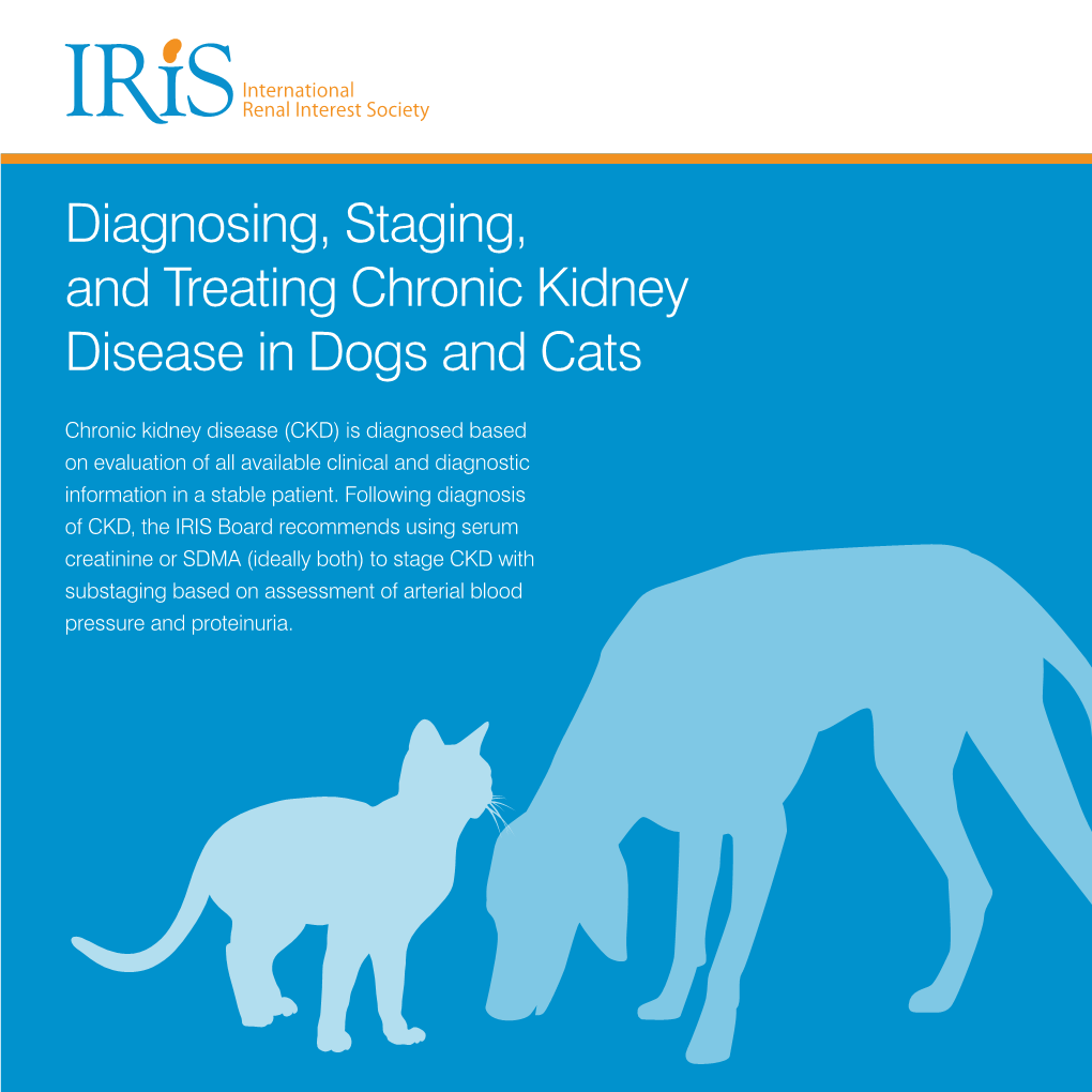 Diagnosing, Staging, and Treating Chronic Kidney Disease in Dogs and Cats