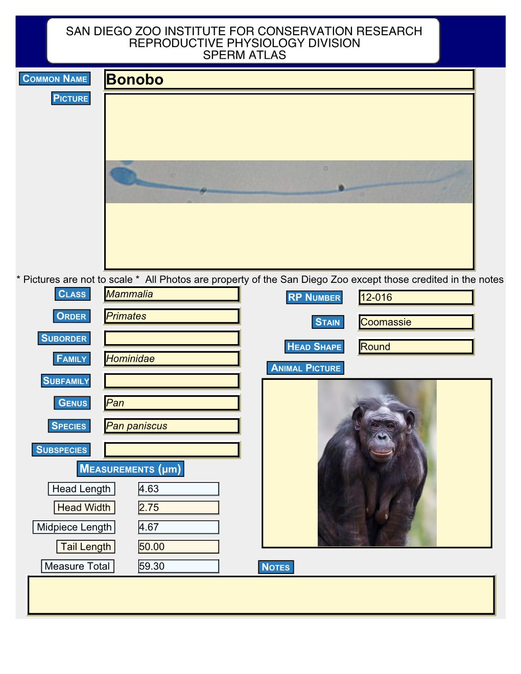 Complete Sperm Atlas