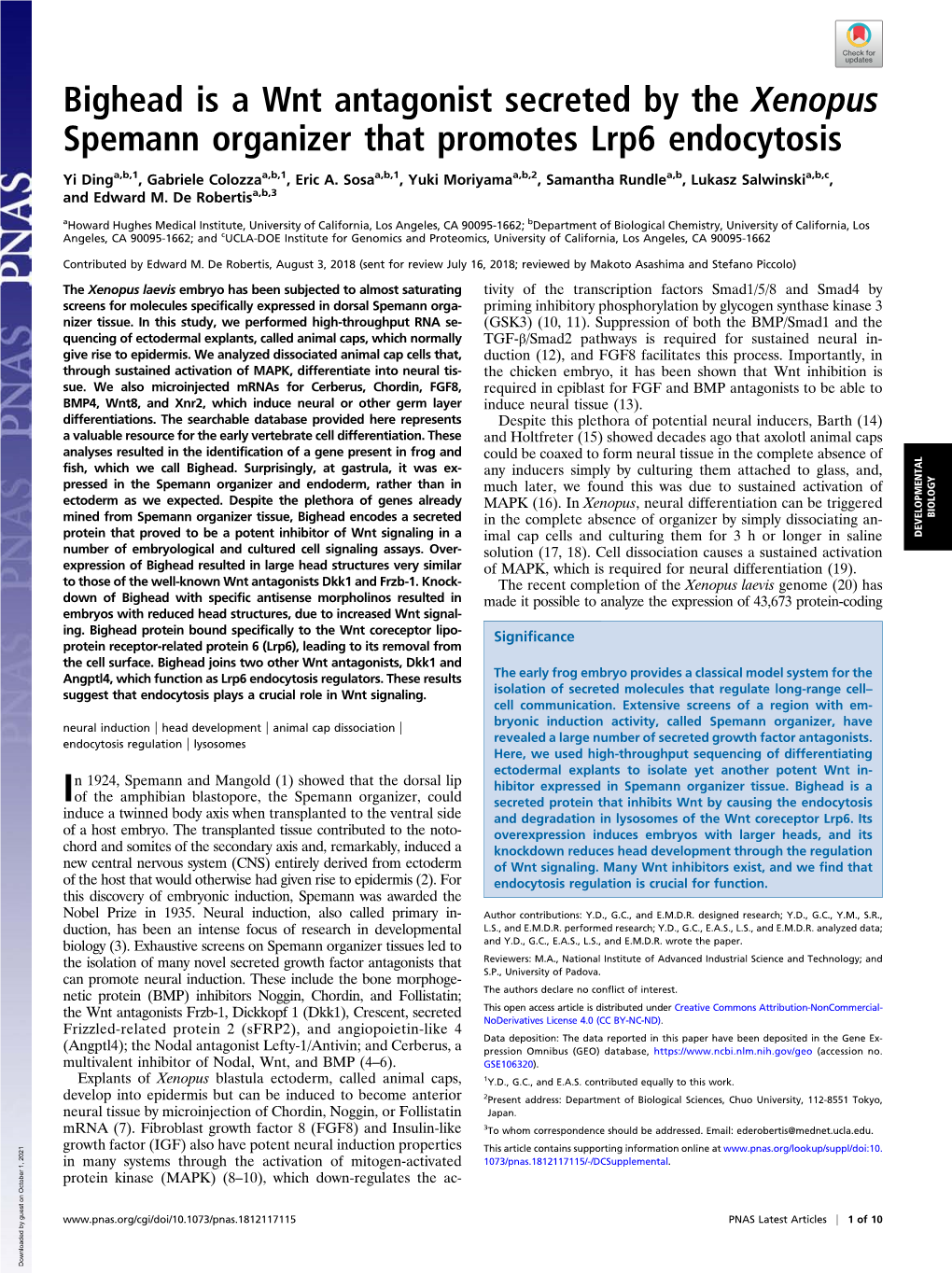 Bighead Is a Wnt Antagonist Secreted by the Xenopus Spemann Organizer That Promotes Lrp6 Endocytosis