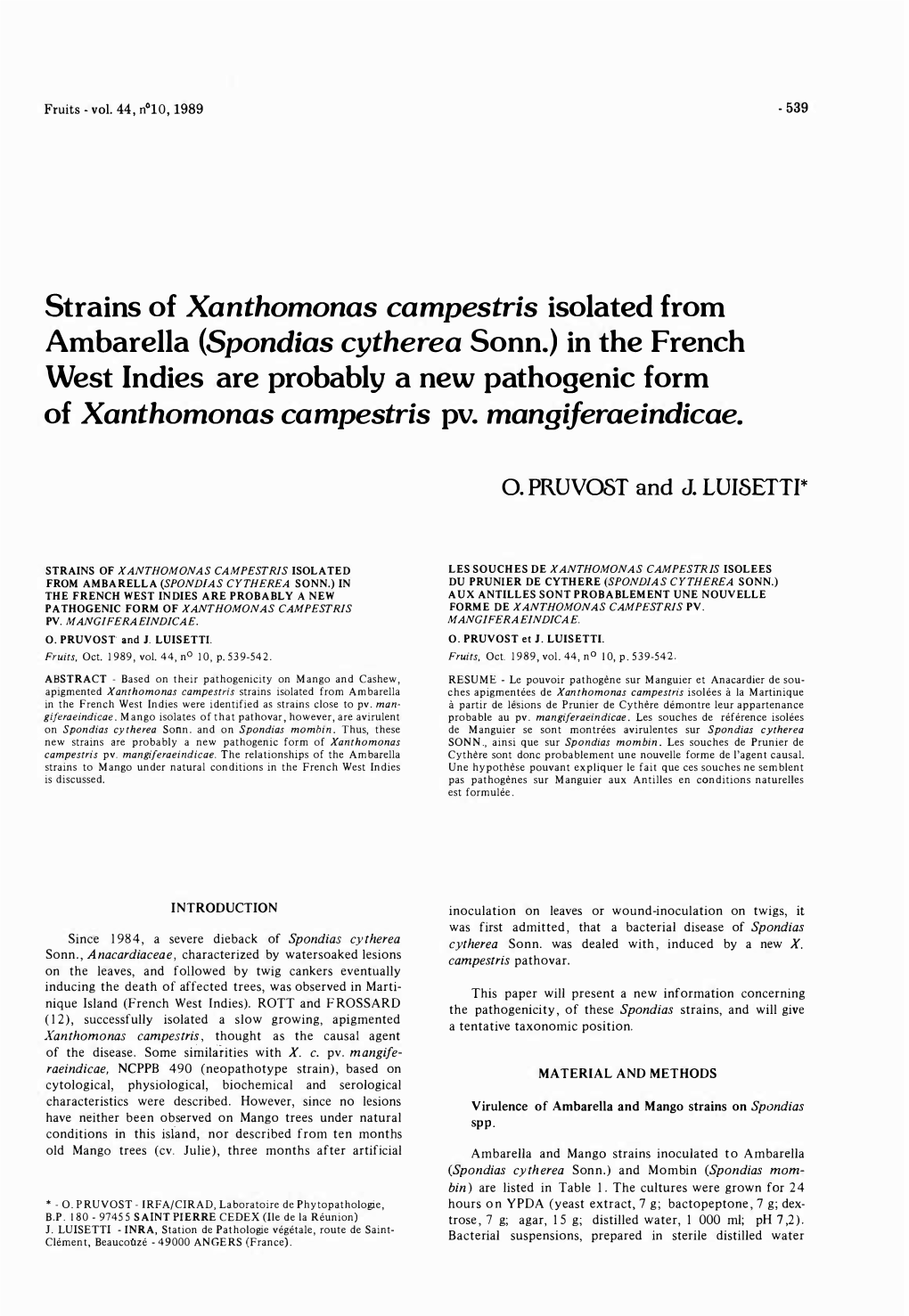 Strains of Xanthomonas Campestris Isolated from Ambarella (Spondias Cytherea Sonn.) in the French West Indies Are Probably A