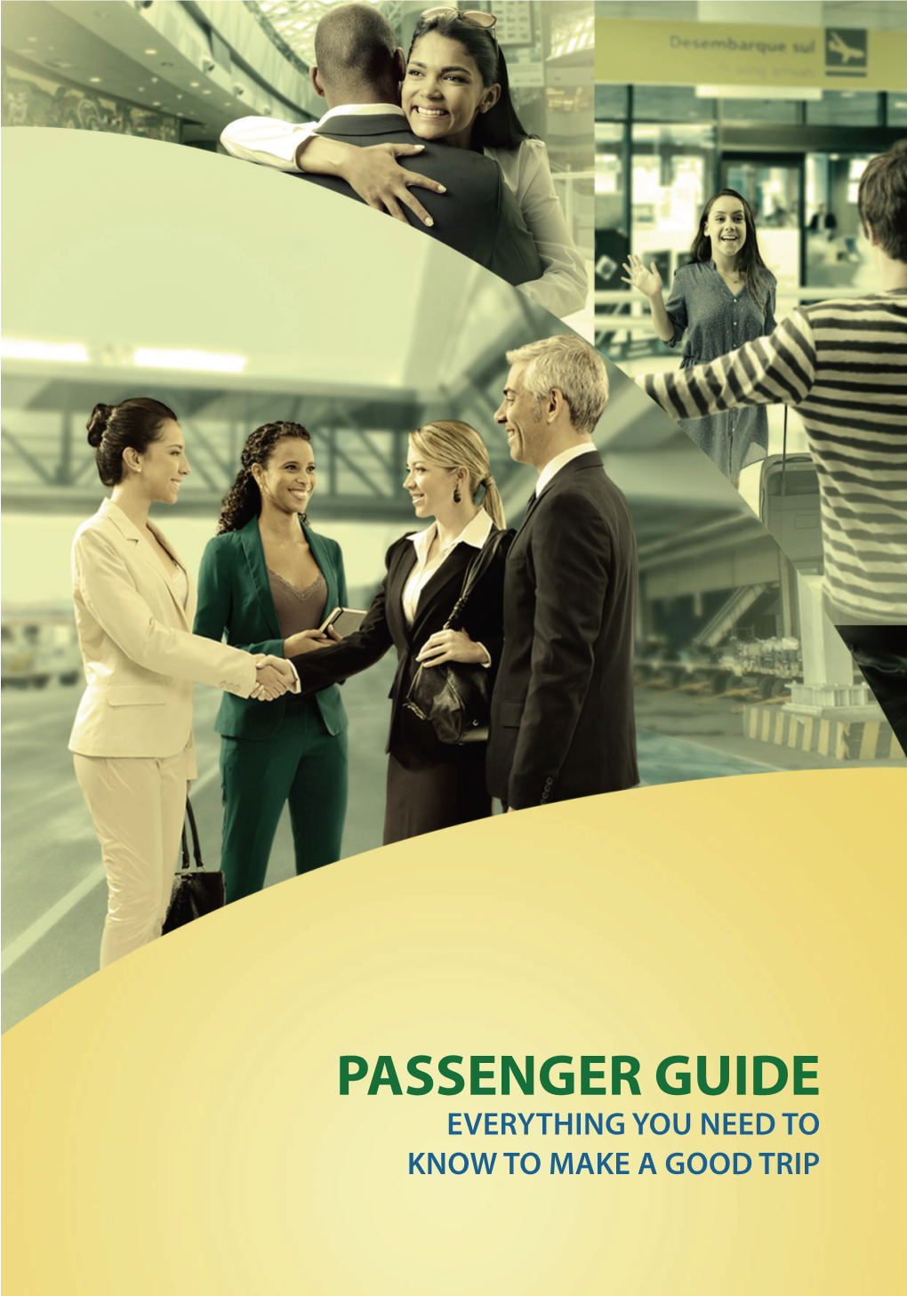 Passenger's Guide to Brazil