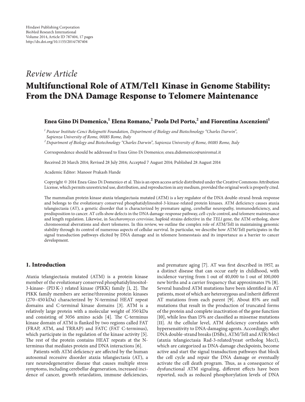 Review Article Multifunctional Role of ATM/Tel1 Kinase in Genome Stability: from the DNA Damage Response to Telomere Maintenance