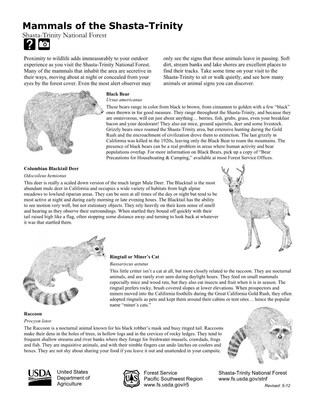 Mammals of the Shasta-Trinity