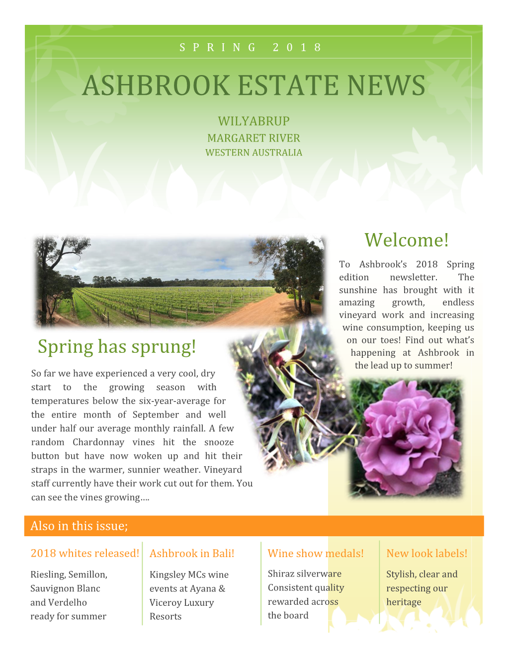 Ashbrook Estate News Issue 2 – Spring 2018