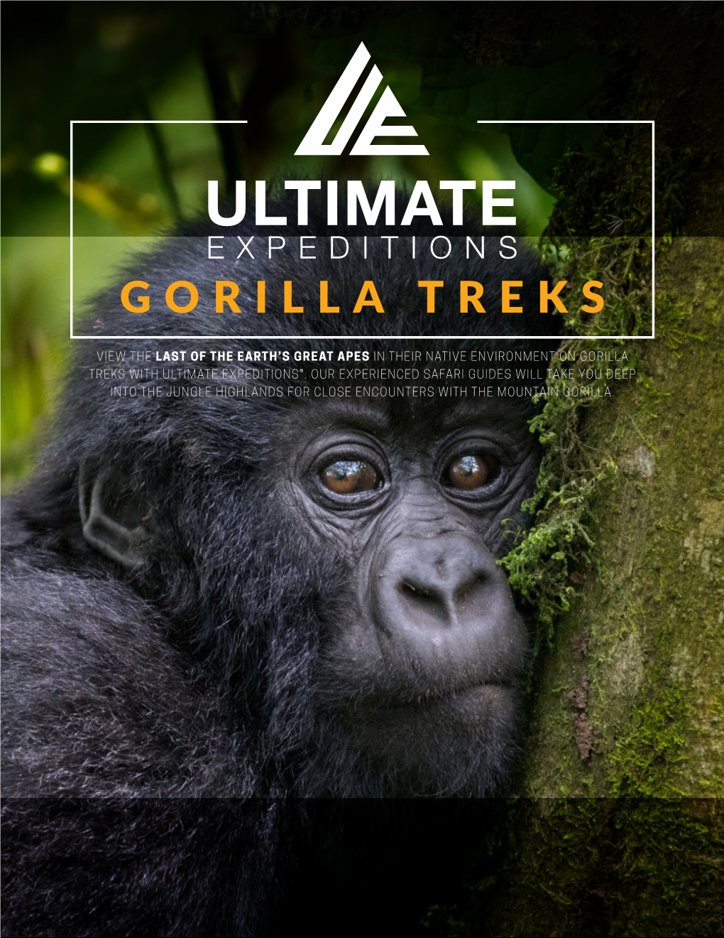 Gorilla Treks