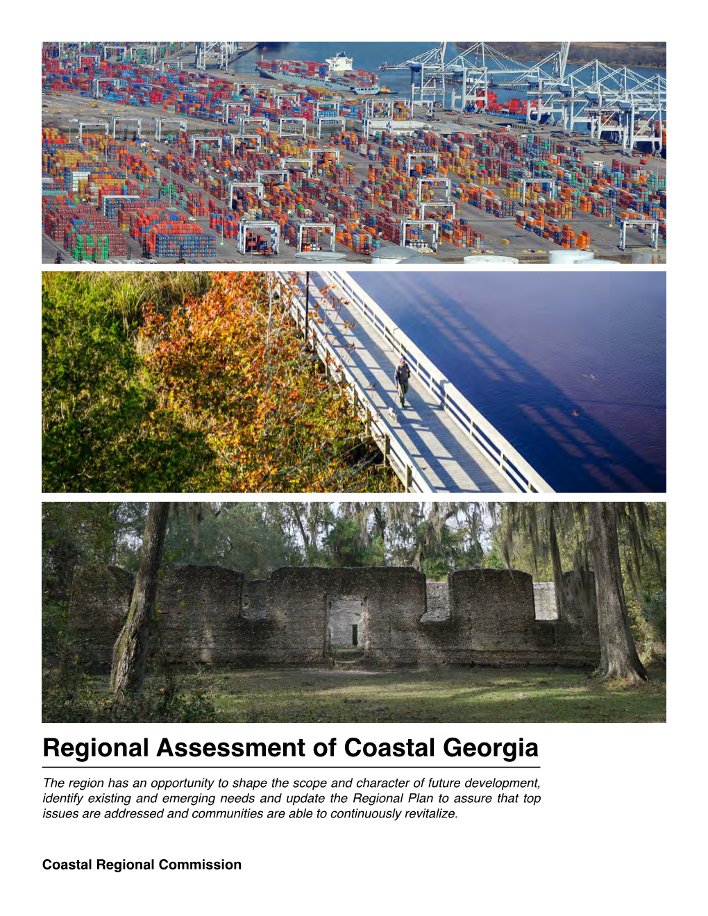 Regional Assessment of Coastal Georgia