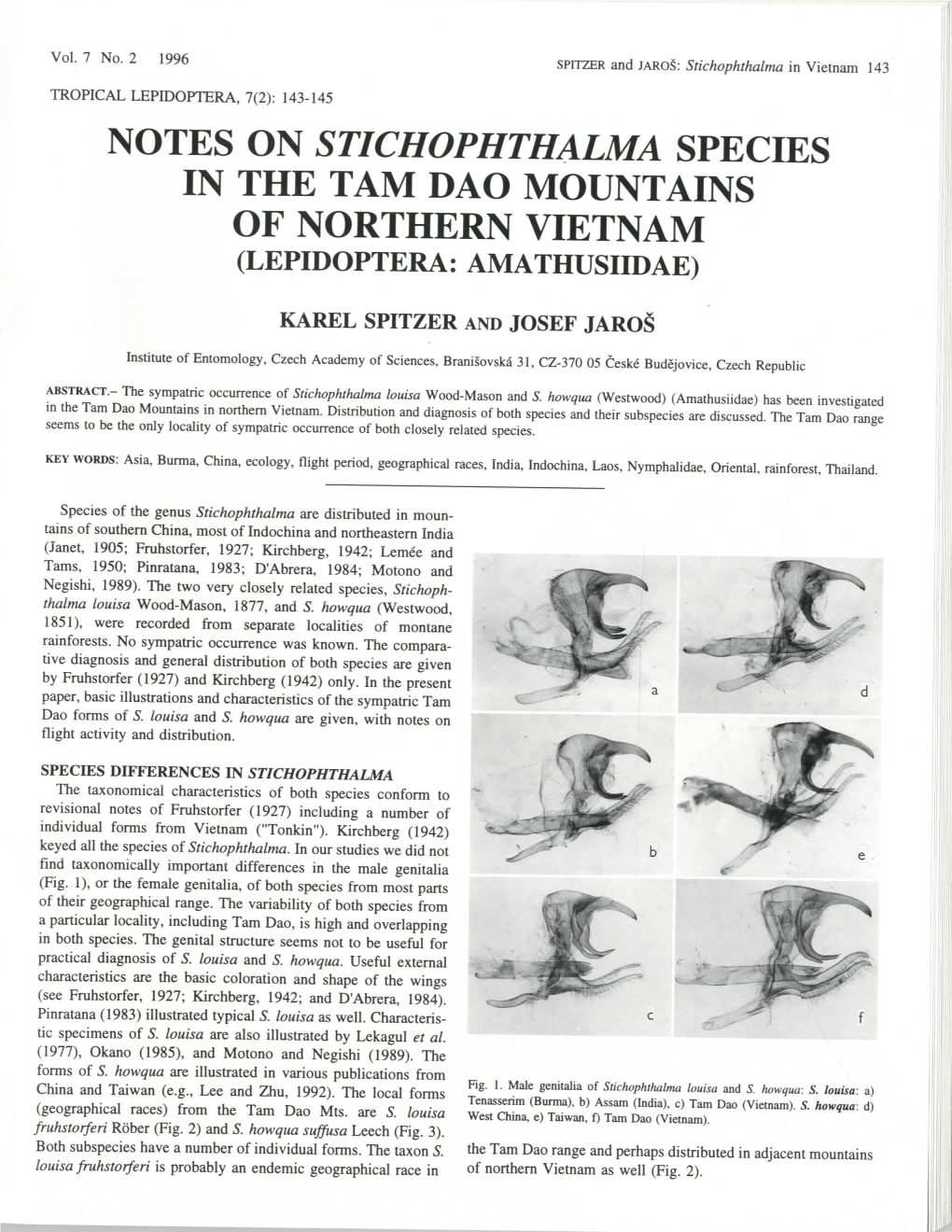 Notes on Stichophthalma Species in the Tam Dao Mountains of Northern Vietnam (Lepidoptera: Amathusiidae)