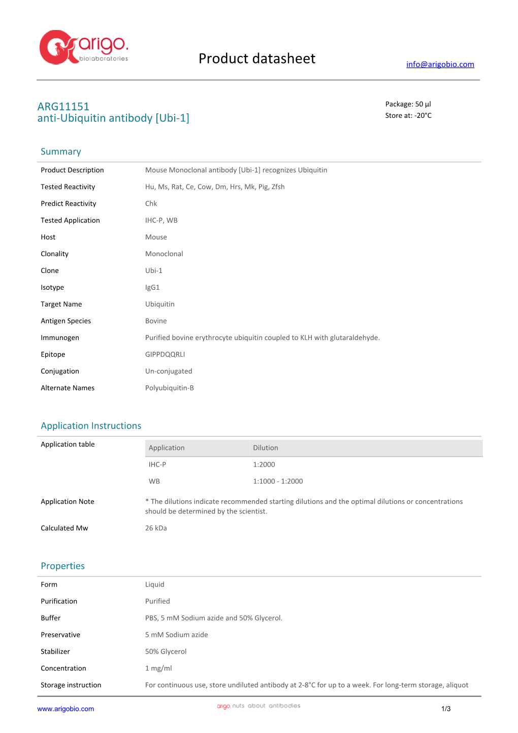 Anti-Ubiquitin Antibody [Ubi-1] (ARG11151)