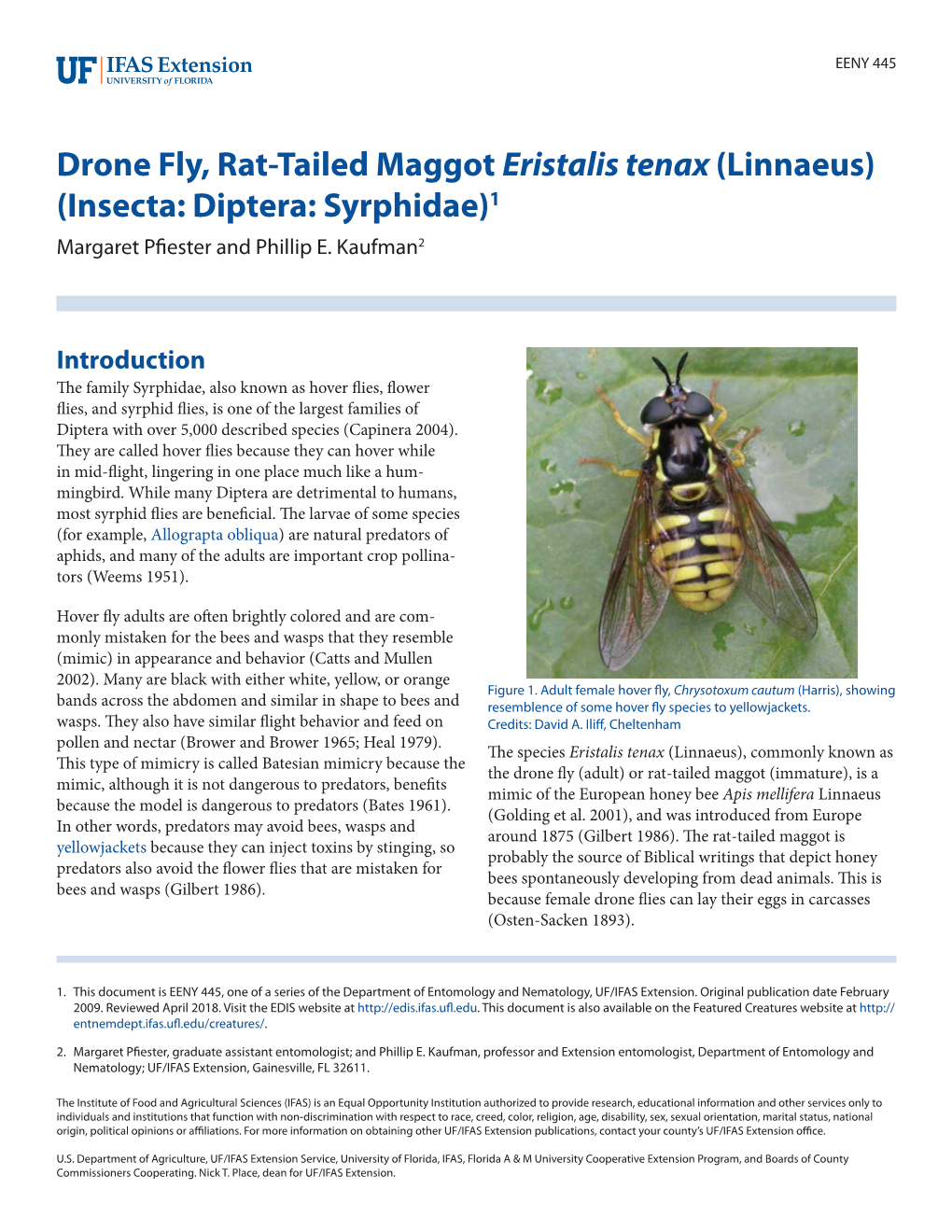 Drone Fly, Rat-Tailed Maggot Eristalis Tenax (Linnaeus) (Insecta: Diptera: Syrphidae)1 Margaret Pfiester and Phillip E