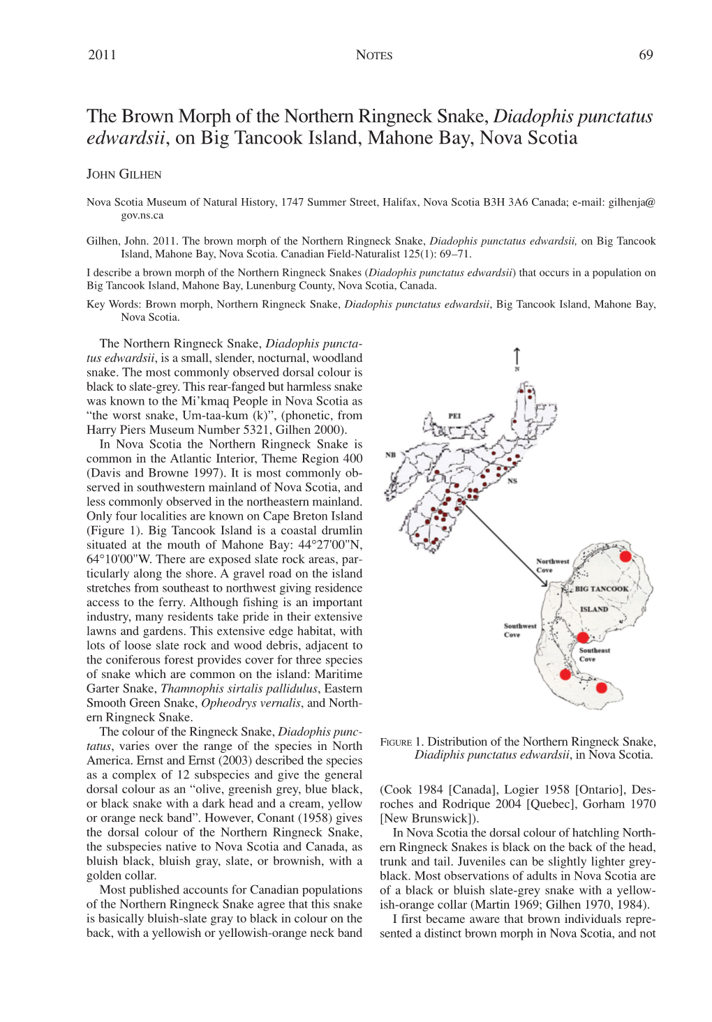The Brown Morph of the Northern Ringneck Snake, Diadophis Punctatus Edwardsii , on Big Tancook Island, Mahone Bay, Nova Scotia