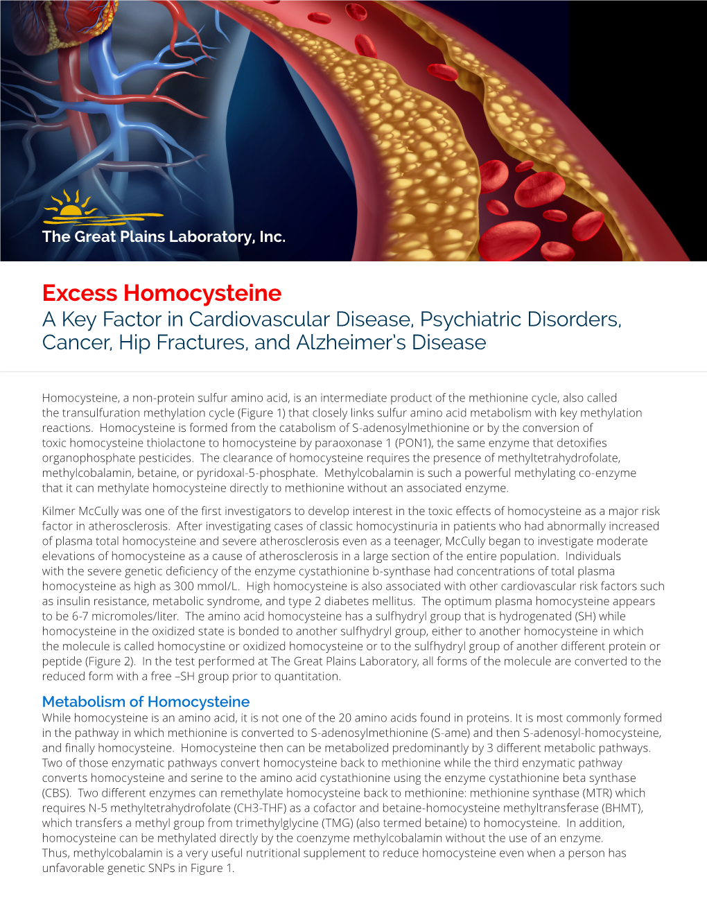 Excess Homocysteine a Key Factor in Cardiovascular Disease, Psychiatric Disorders, Cancer, Hip Fractures, and Alzheimer’S Disease
