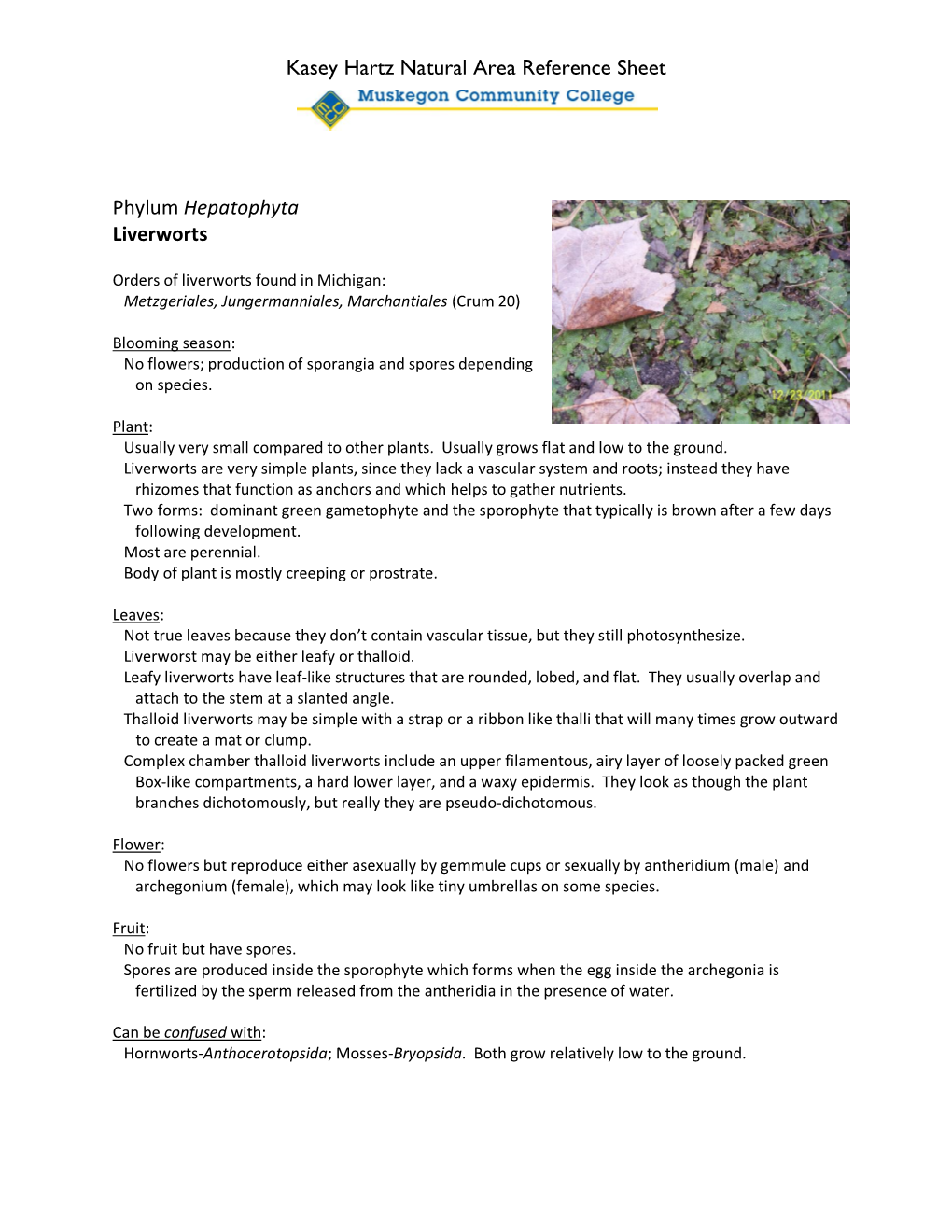 Kasey Hartz Natural Area Reference Sheet Phylum Hepatophyta