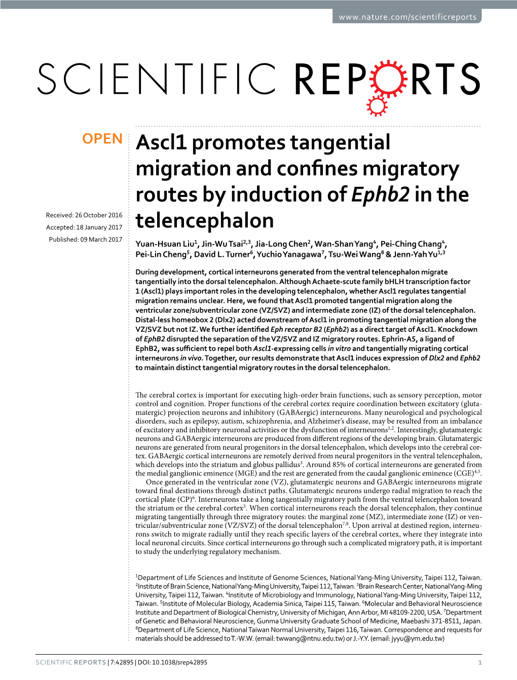 Ascl1 Promotes Tangential Migration and Confines Migratory Routes By