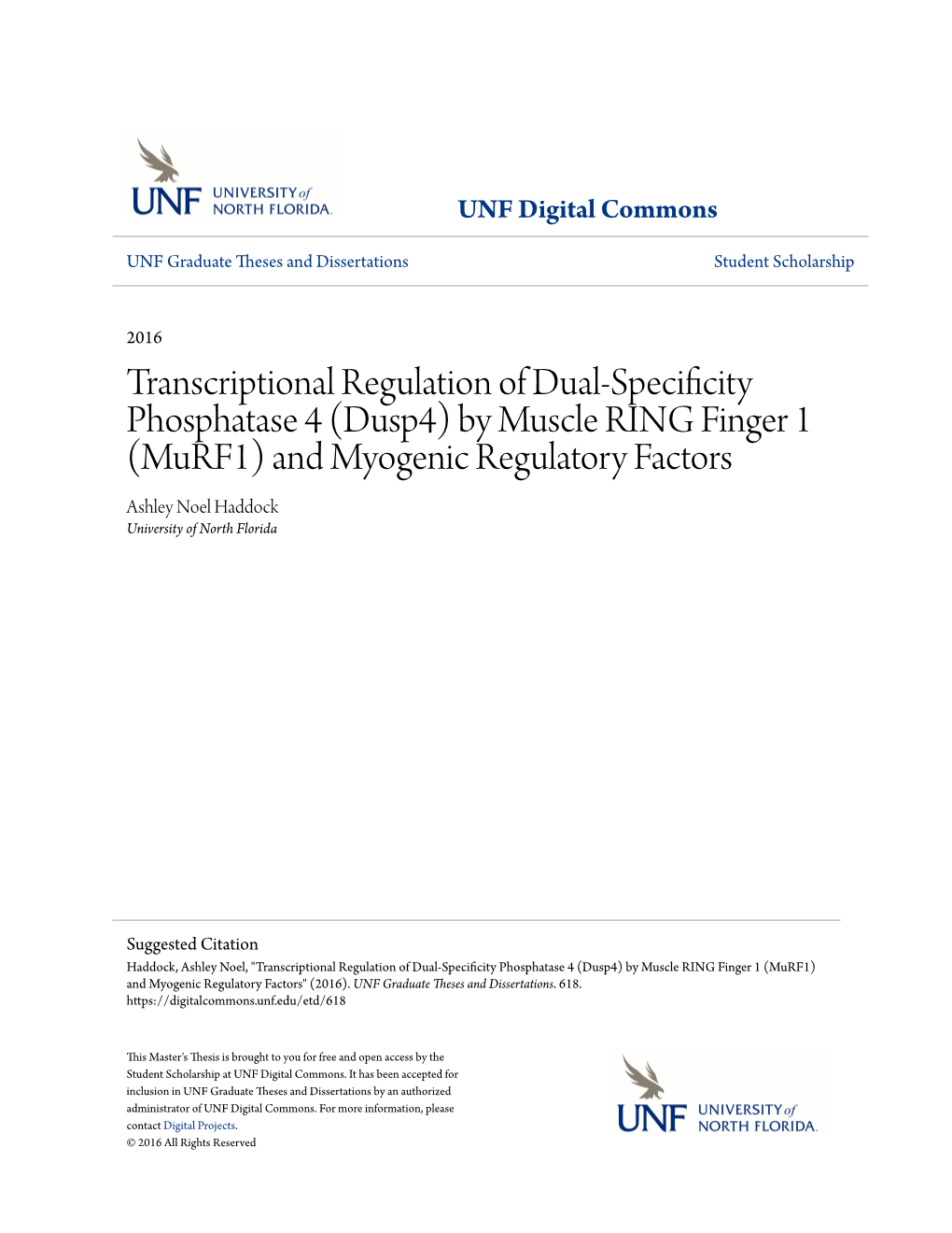 Transcriptional Regulation of Dual-Specificity Phosphatase 4