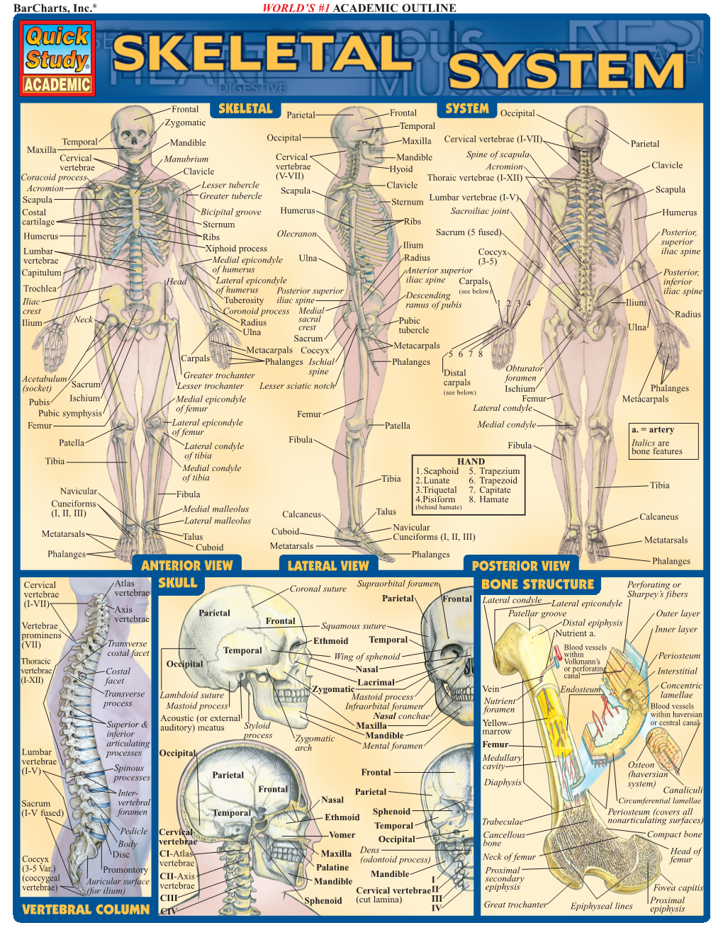 Quickstudy.Com