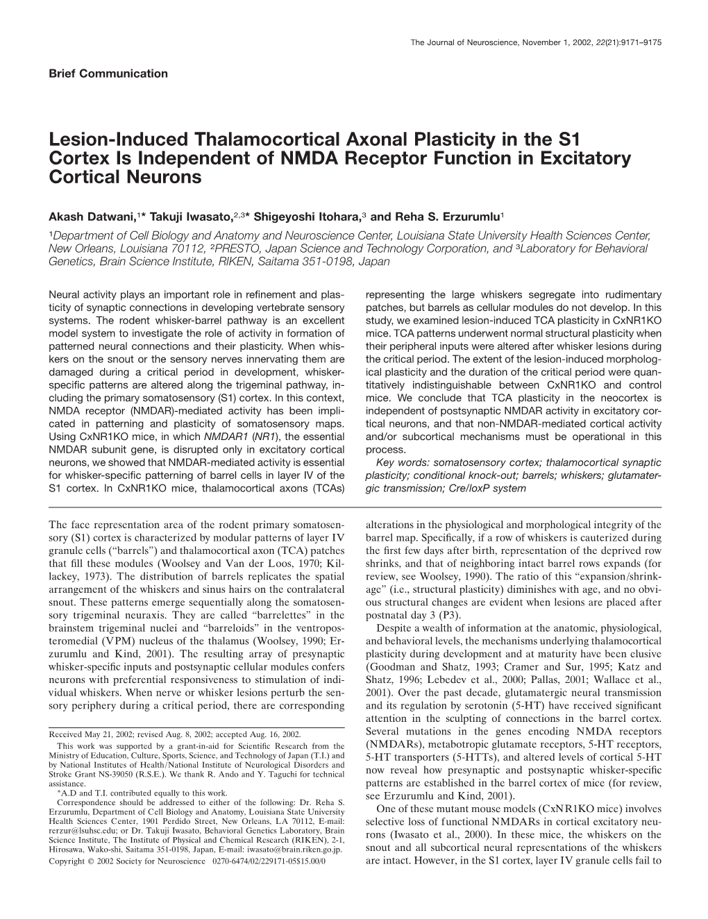 Lesion-Induced Thalamocortical Axonal Plasticity in the S1 Cortex Is Independent of NMDA Receptor Function in Excitatory Cortical Neurons