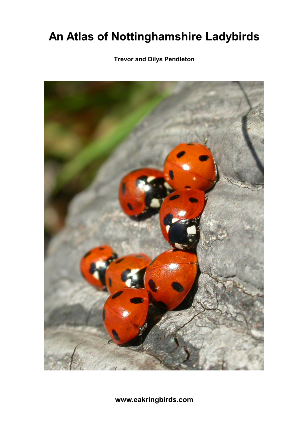 An Atlas of Nottinghamshire Ladybirds