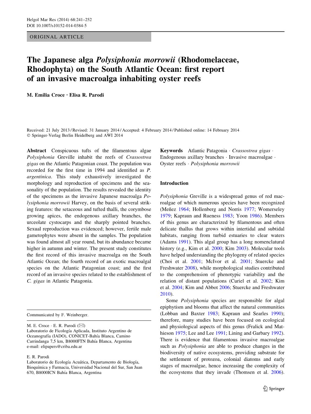 Rhodomelaceae, Rhodophyta) on the South Atlantic Ocean: ﬁrst Report of an Invasive Macroalga Inhabiting Oyster Reefs