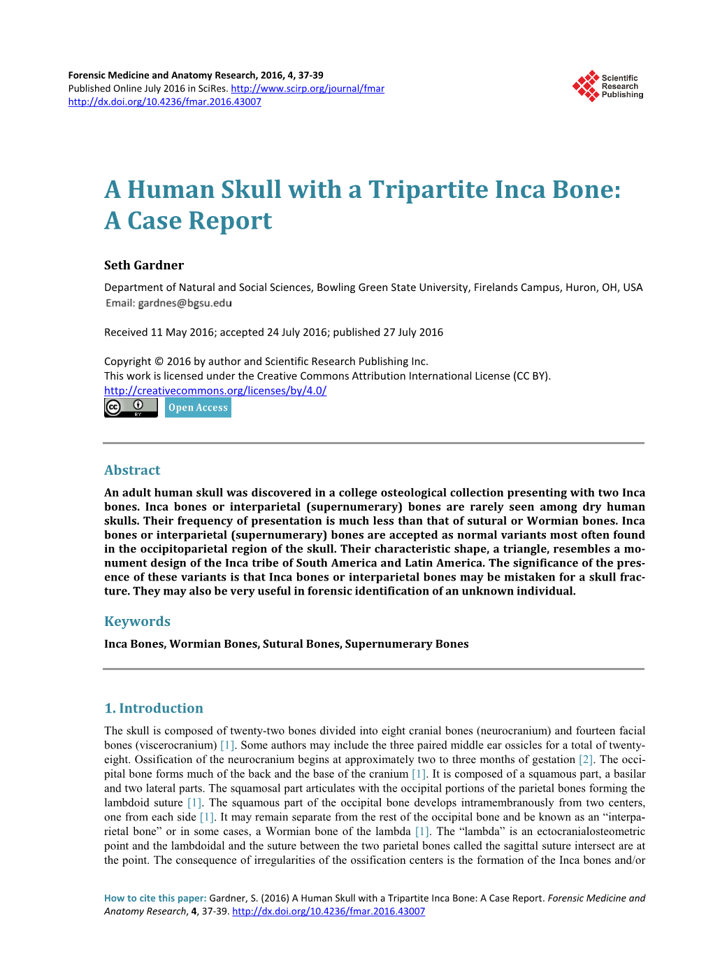 A Human Skull with a Tripartite Inca Bone: a Case Report