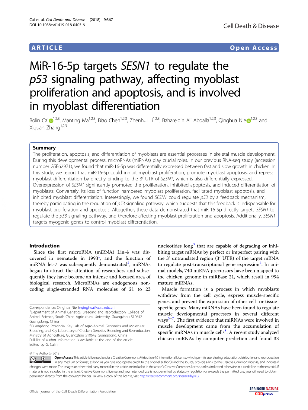 Mir-16-5P Targets SESN1 to Regulate the P53 Signaling Pathway, Affecting
