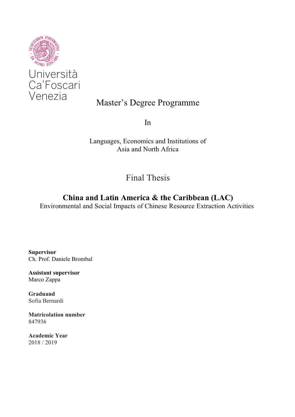 Master's Degree Programme Final Thesis