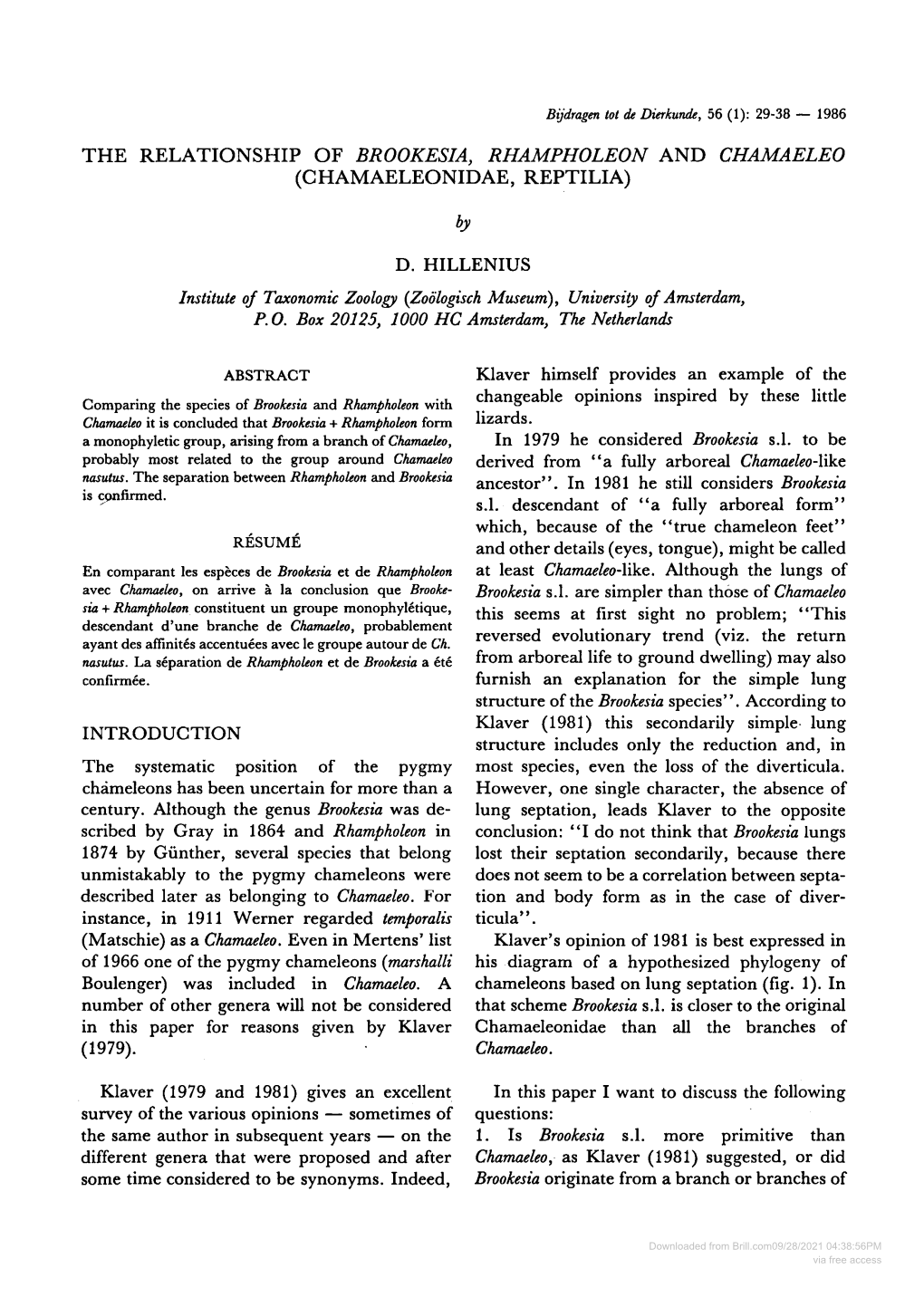 The Relationship of Brookesia, Rhampholeon and Chamaeleo