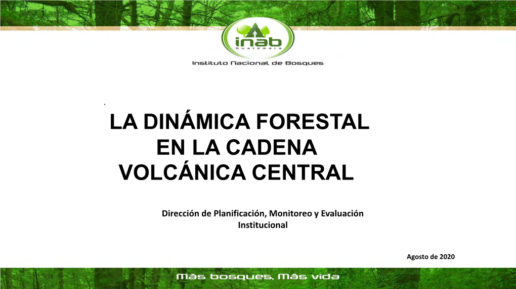 La Dinámica Forestal En La Cadena Volcánica Central