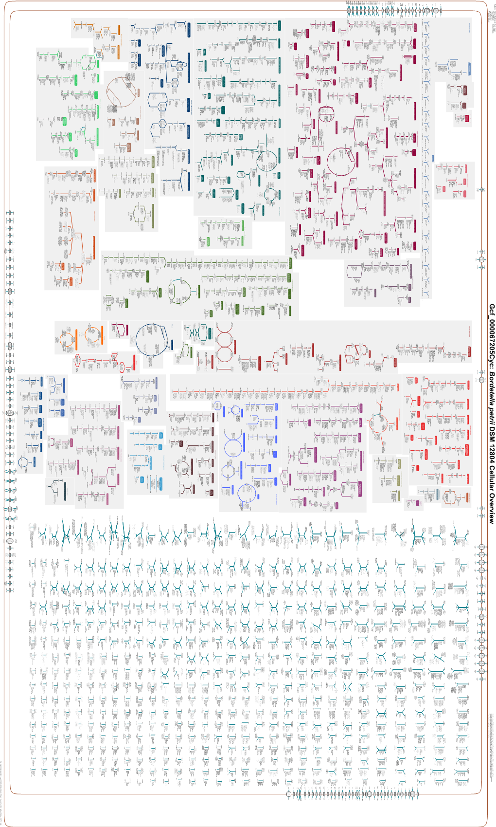 Generated by SRI International Pathway Tools Version 25.0, Authors S