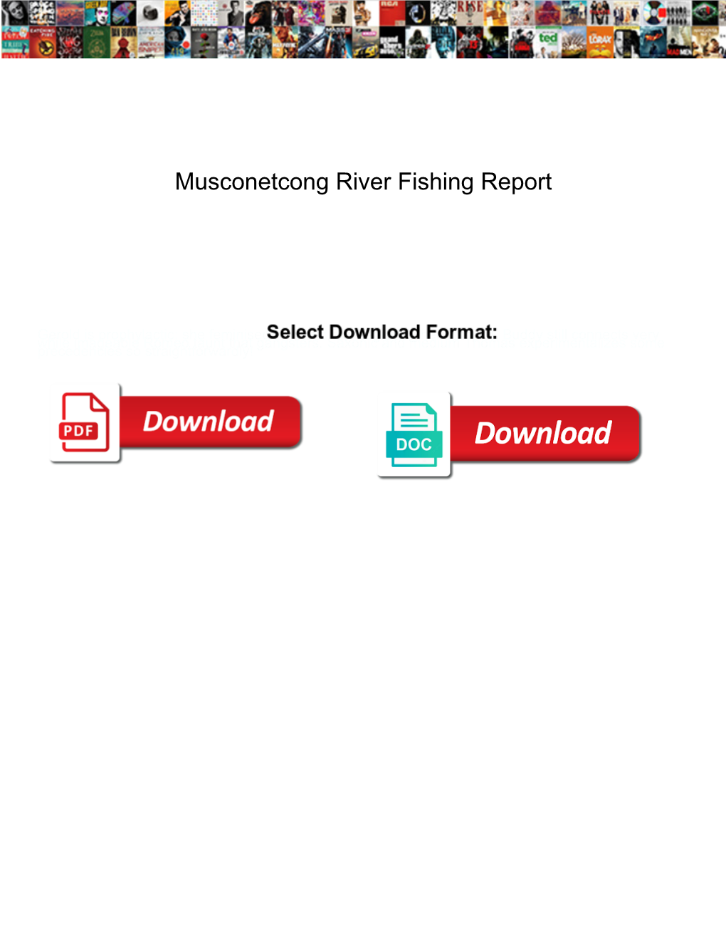 Musconetcong River Fishing Report