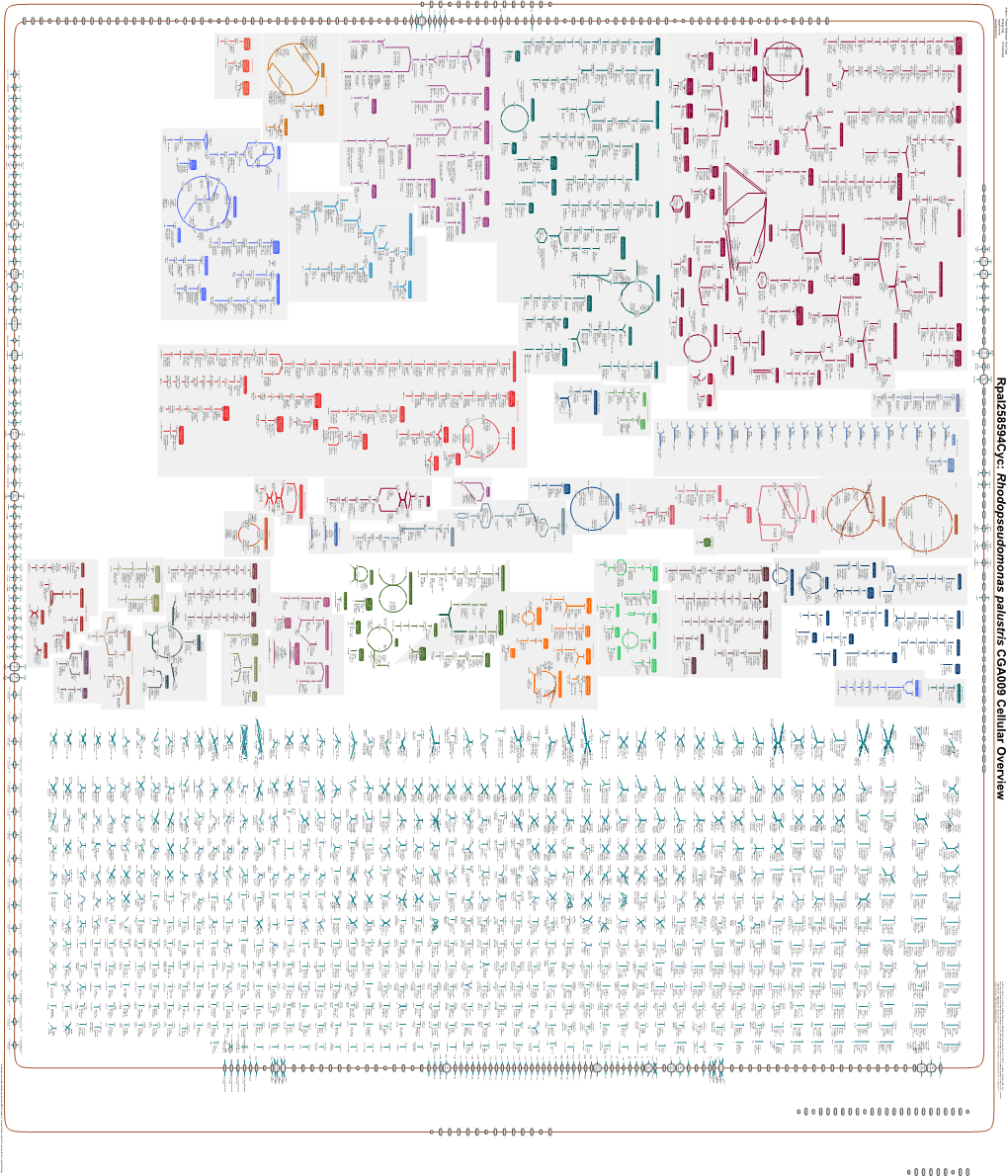 Generate Metabolic Map Poster